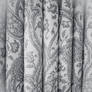 Paisley Texture