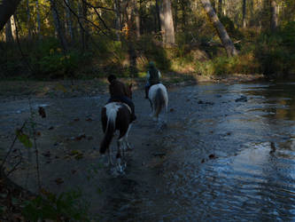 Horseback riding across the river