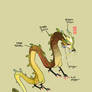 Soup Dumpling Dragon Anatomical Features