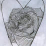 A rose in a heart