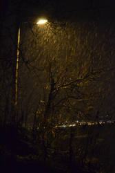 Raining Light
