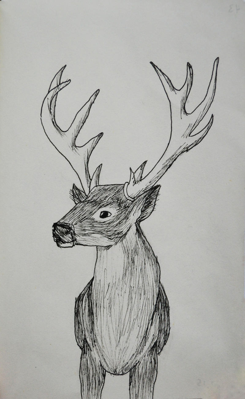 43