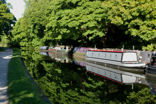The Leeds and Liverpool Canal at Calverley