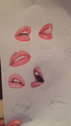 Lips study