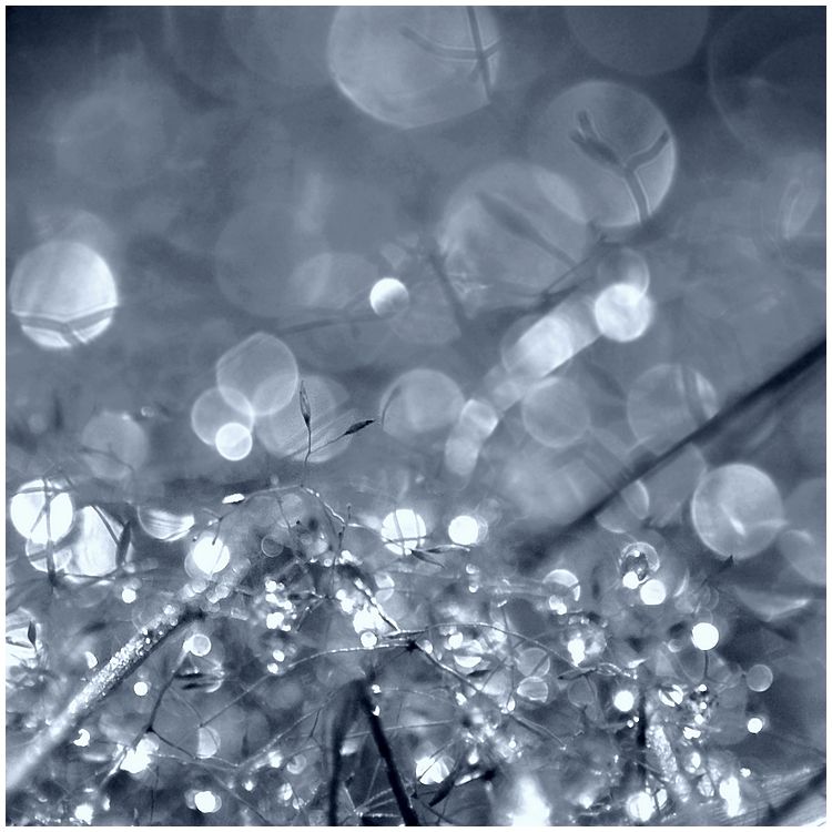 drops and light