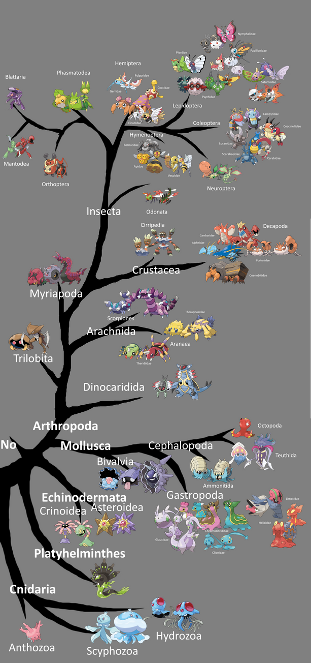 Pokemon Phylogenetic tree by Aviculor on DeviantArt