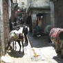 in the labyrinth of Fes