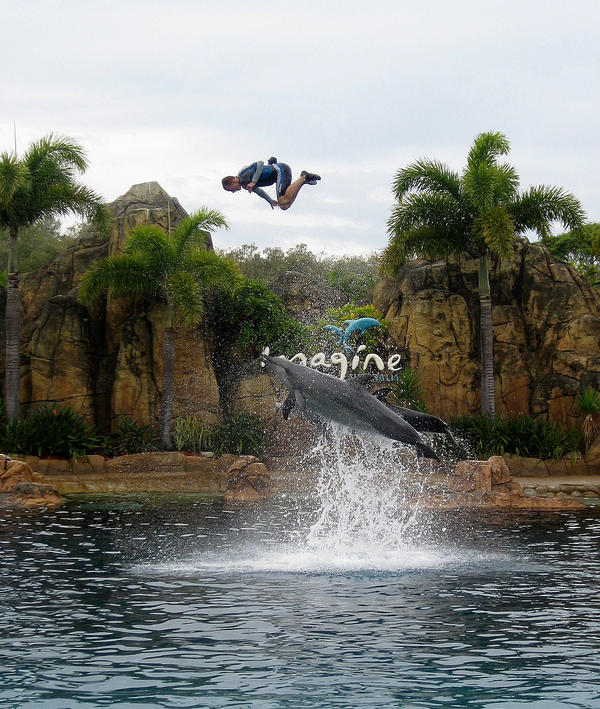 man with dolphins by Cha-rin on DeviantArt
