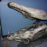 Basilisk Skeleton