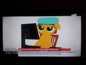 Pony OC on national news (2015, not really recent)