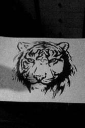 Tiger [Stencil]