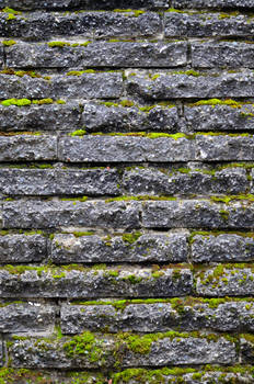 Stone Wall Stock