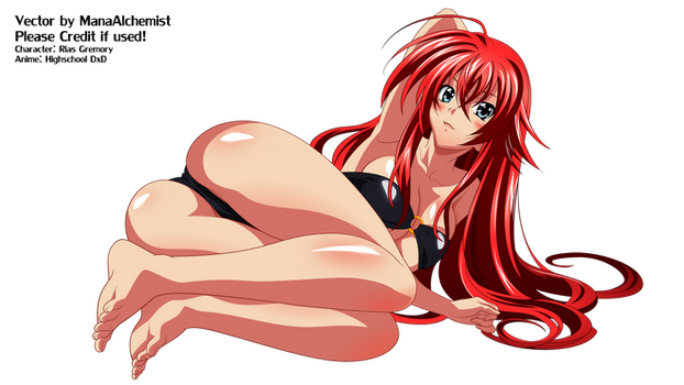 Vector - Rias Gremory in a swimsuit