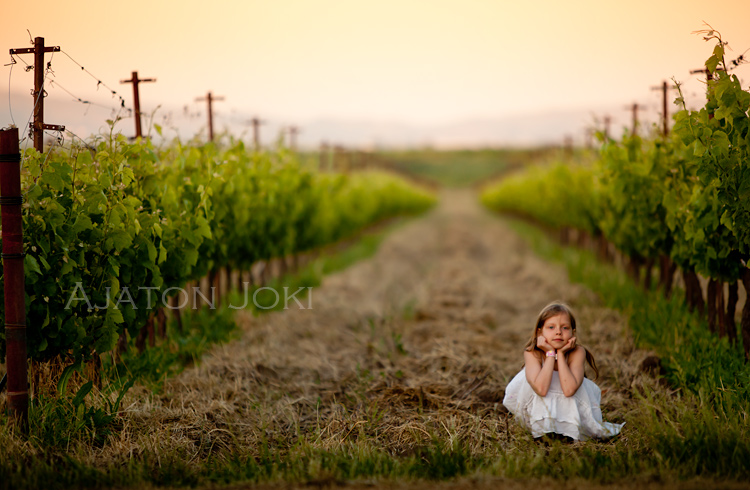 Sunset in Sonoma