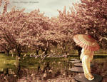 Cherry Blossom by fabilua
