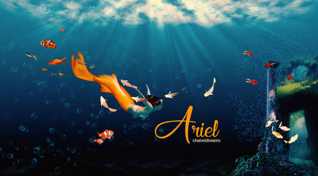 Ariel