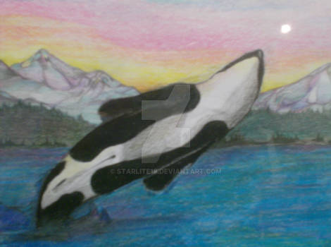 ORCA