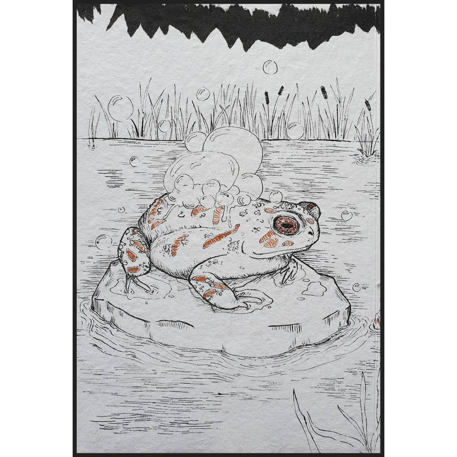 Day 8 - Toad by thirstyforcolours on DeviantArt