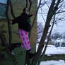 Winter tree climbing