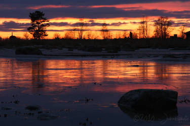 Cold Reflection