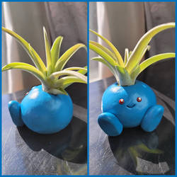 Oddish Planter