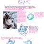 Kougro's Tutorial -animal-