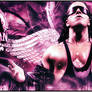 Bret  The Hitman  Hart