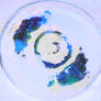 Cell Project- Petri Dish 3