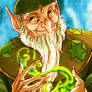 The Green Wizard