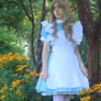 Alice in Wonderland