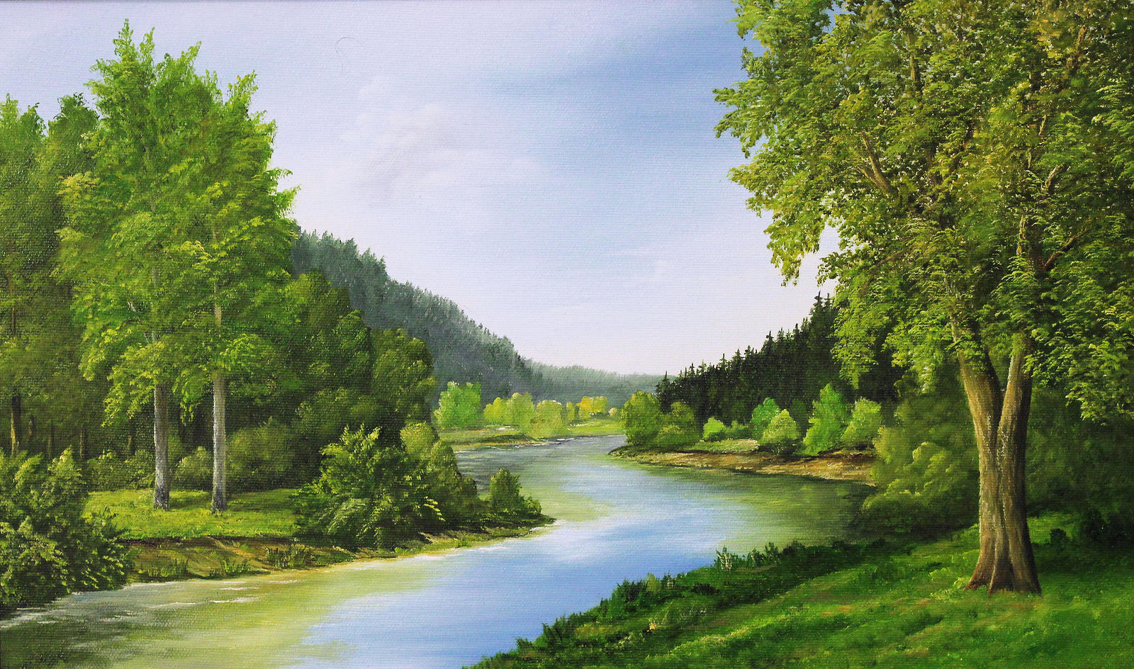 Forest river