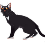 Ravenpaw [FA|DOODLE]