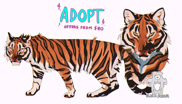 Black snout tiger adopt [CLOSED]