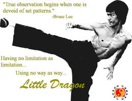 Little Dragon Bruce Lee