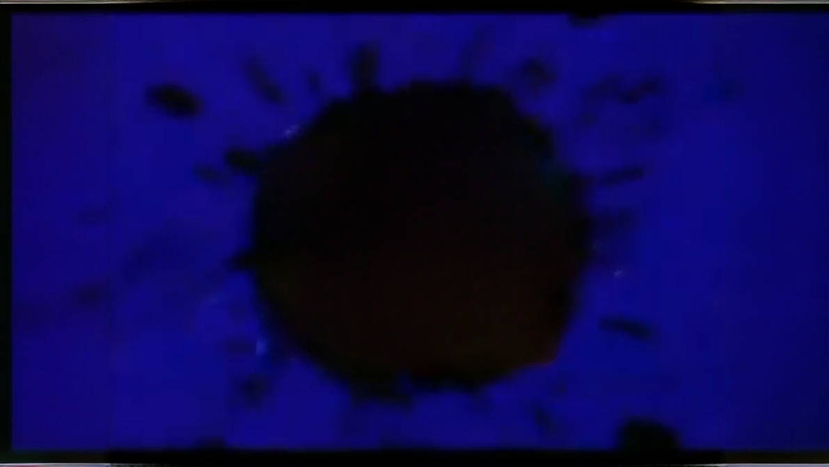 NFWSV Splaat Ink Splat (Widescreen) by Aydan18 on DeviantArt