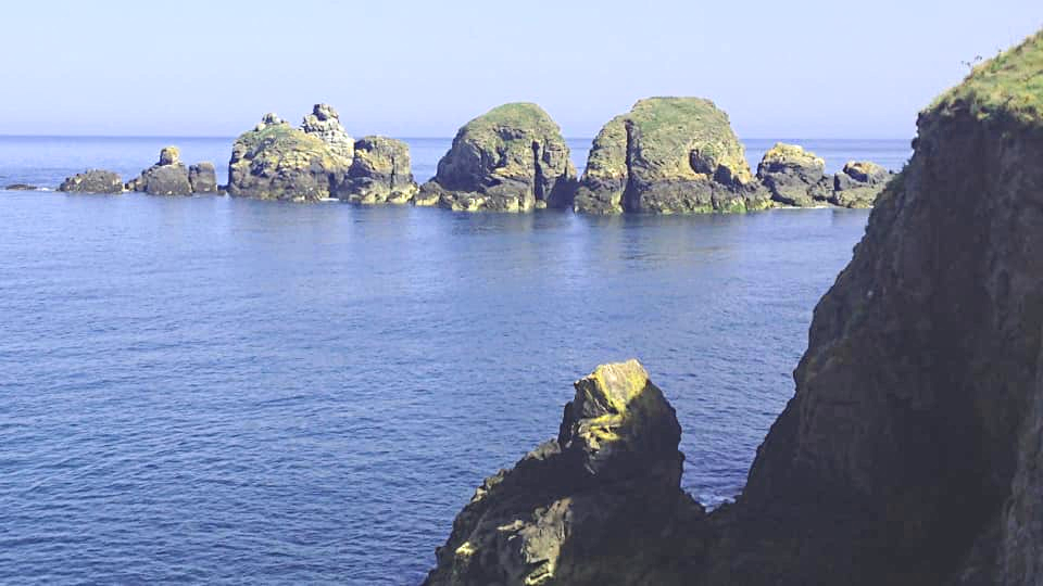 Sark-coast