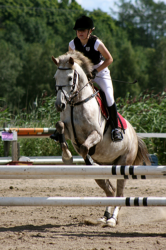 Showjumping