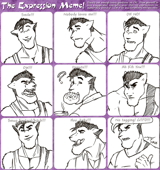 Expression Meme