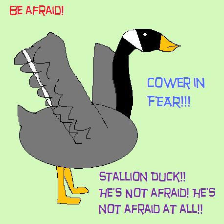 Duck Riding Deviantart Stallion Duck by sheblobbers on DeviantArt