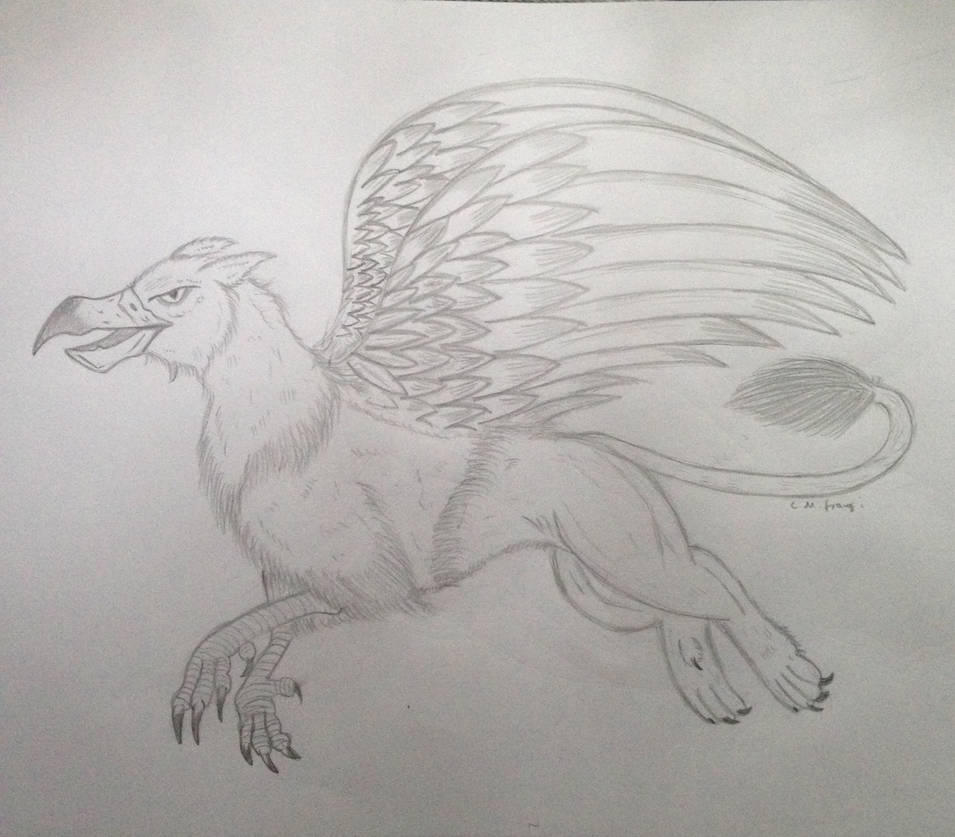 Griffin by candice699 on DeviantArt