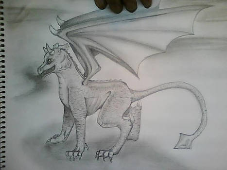 Dragonn