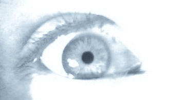 Eye