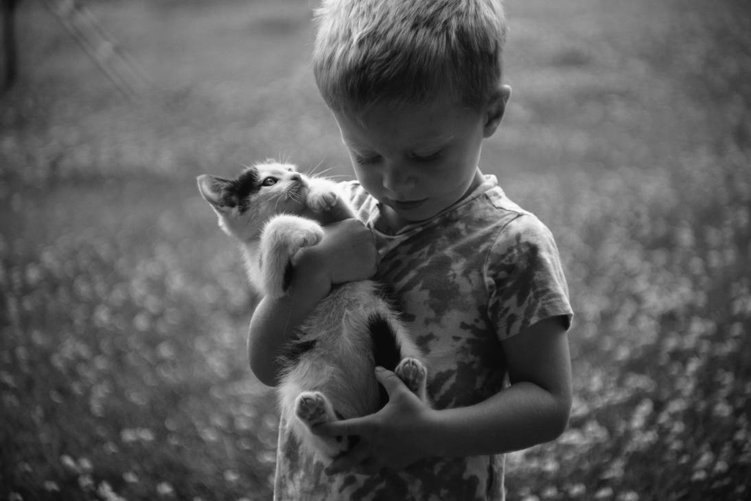 Here Is My Kitten By Eric taylor On DeviantArt here-is-my-kitten-by-eric-taylor-on-deviantart