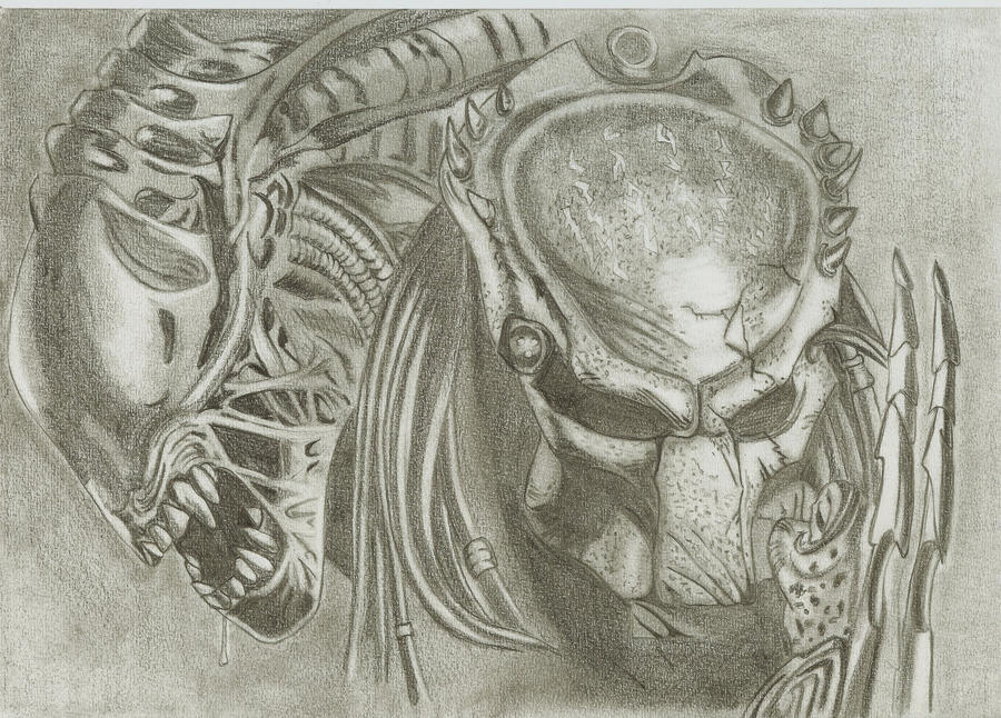 alien vs predator by mag6210 on DeviantArt