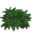 Spiky Bush