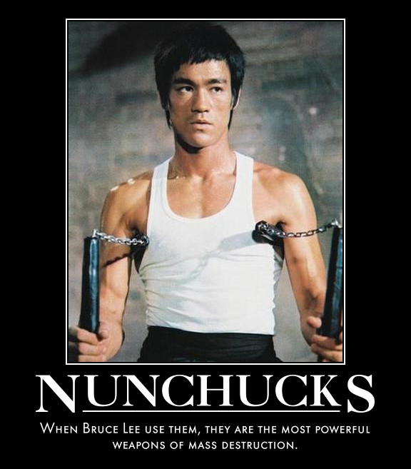 Bruce Lee Nunchucks