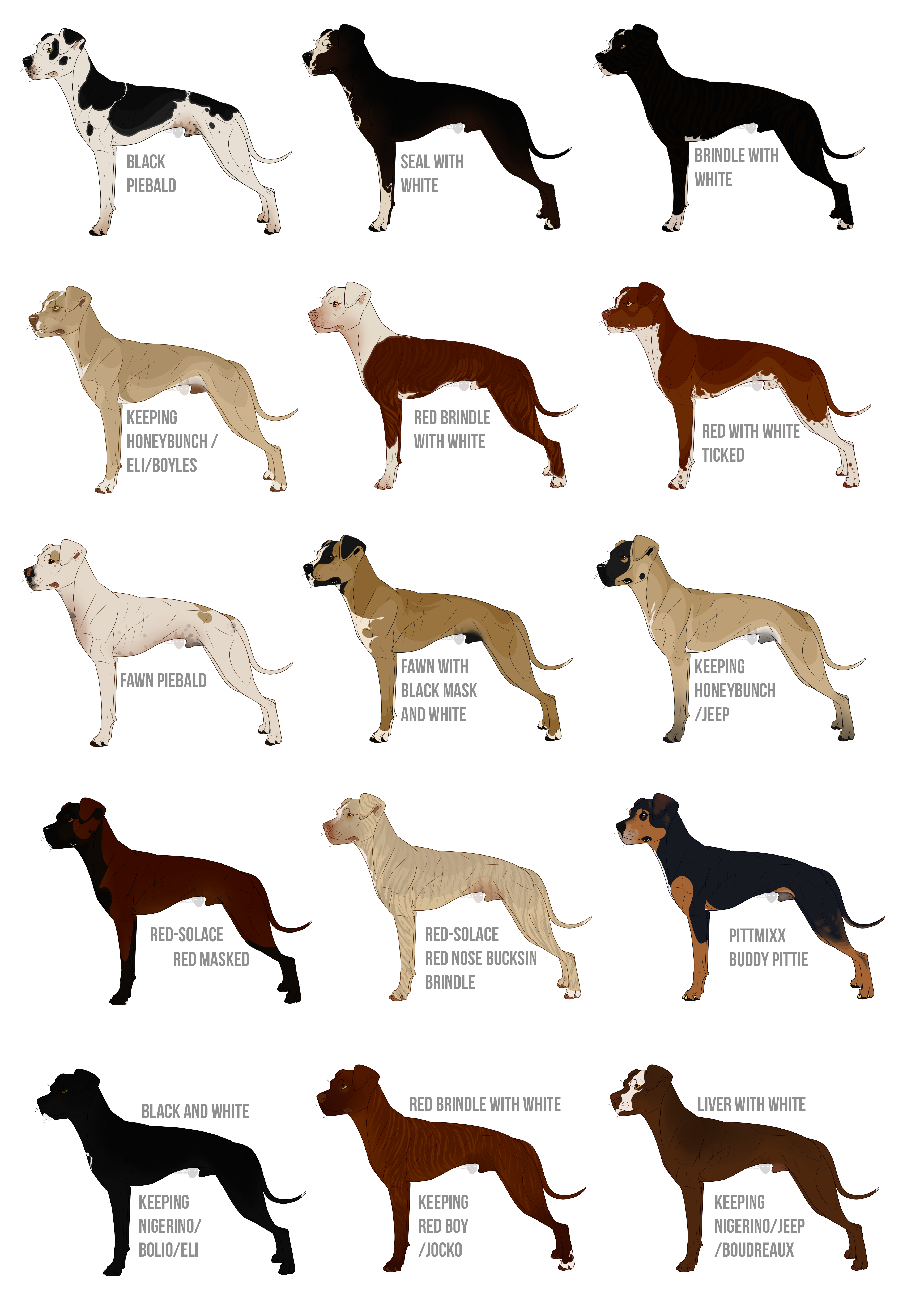 Gamebred Imports . 2 n 3 open by SkogarKennel on DeviantArt