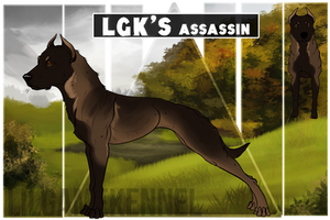 LGKs Assassin