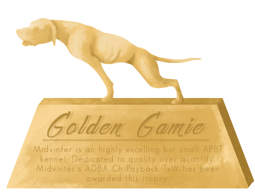 Midvinter Golden Gamie Trophy