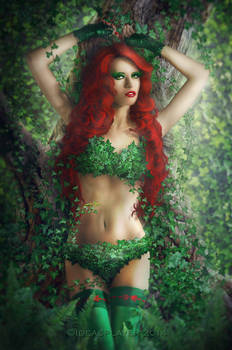 Poison Ivy